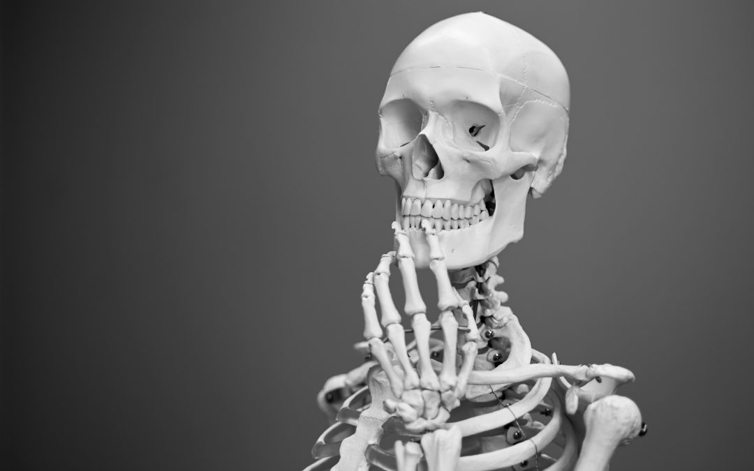 Vertebra 101